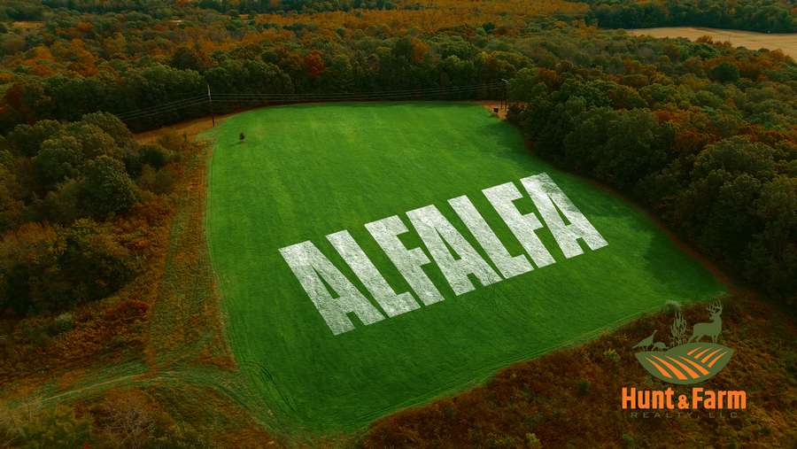 Still 2025-11-29 081237_1.52.1.jpg